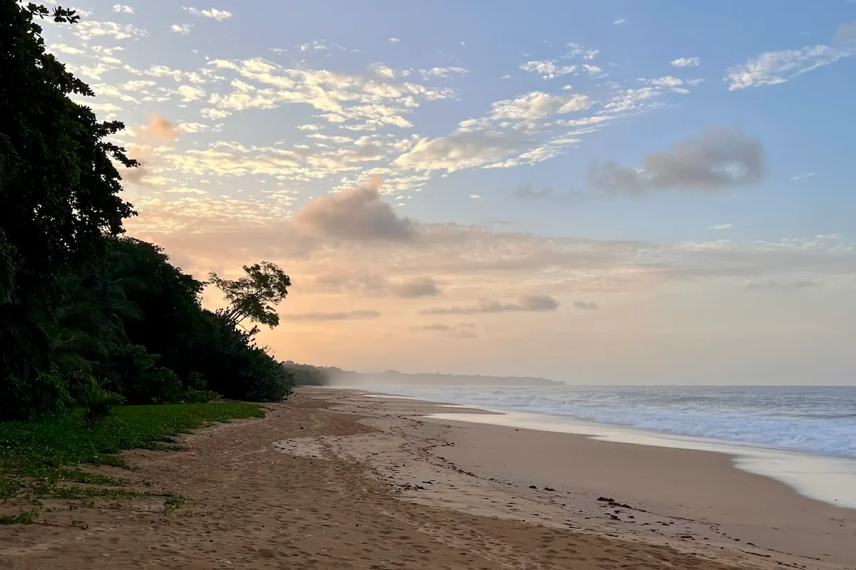 Bluff Beach im Abendlicht mit dramatischem Himmel, Bocas del Toro