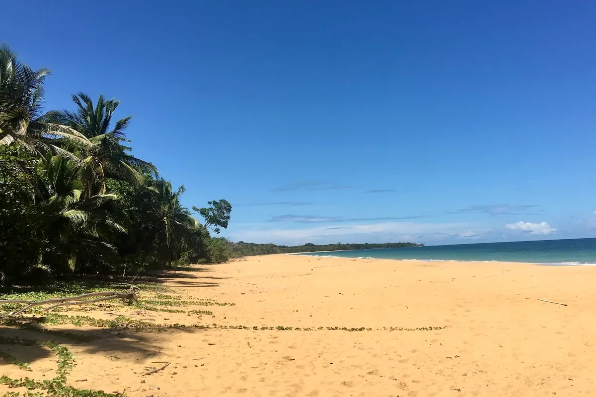Menschenleerer Sandstrand mit Palmen, Bluff Beach Bocas del Toro