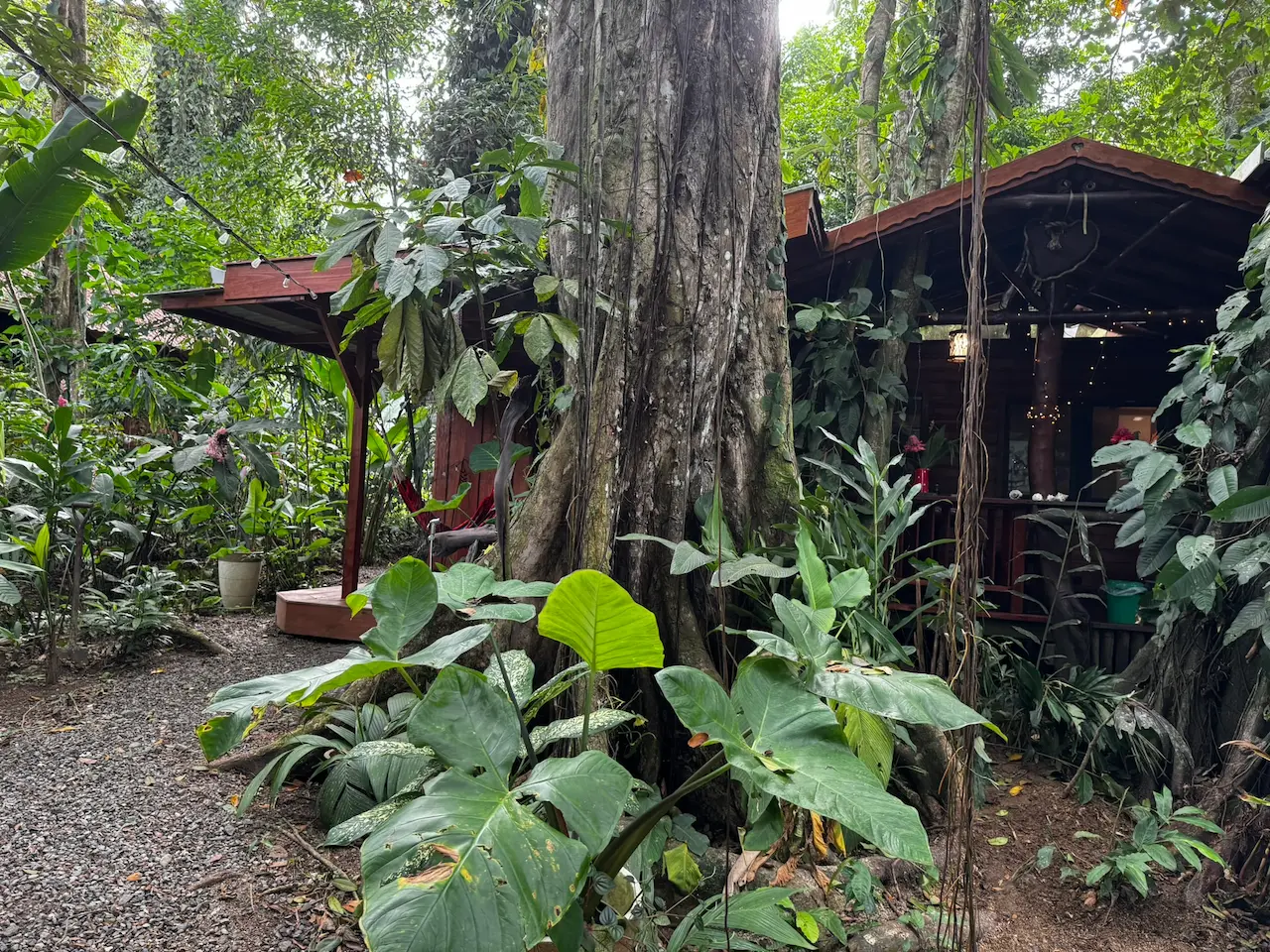 Terrassenbereich des Ferienhauses mit Holzmöbeln im Regenwald, Bocas del Toro