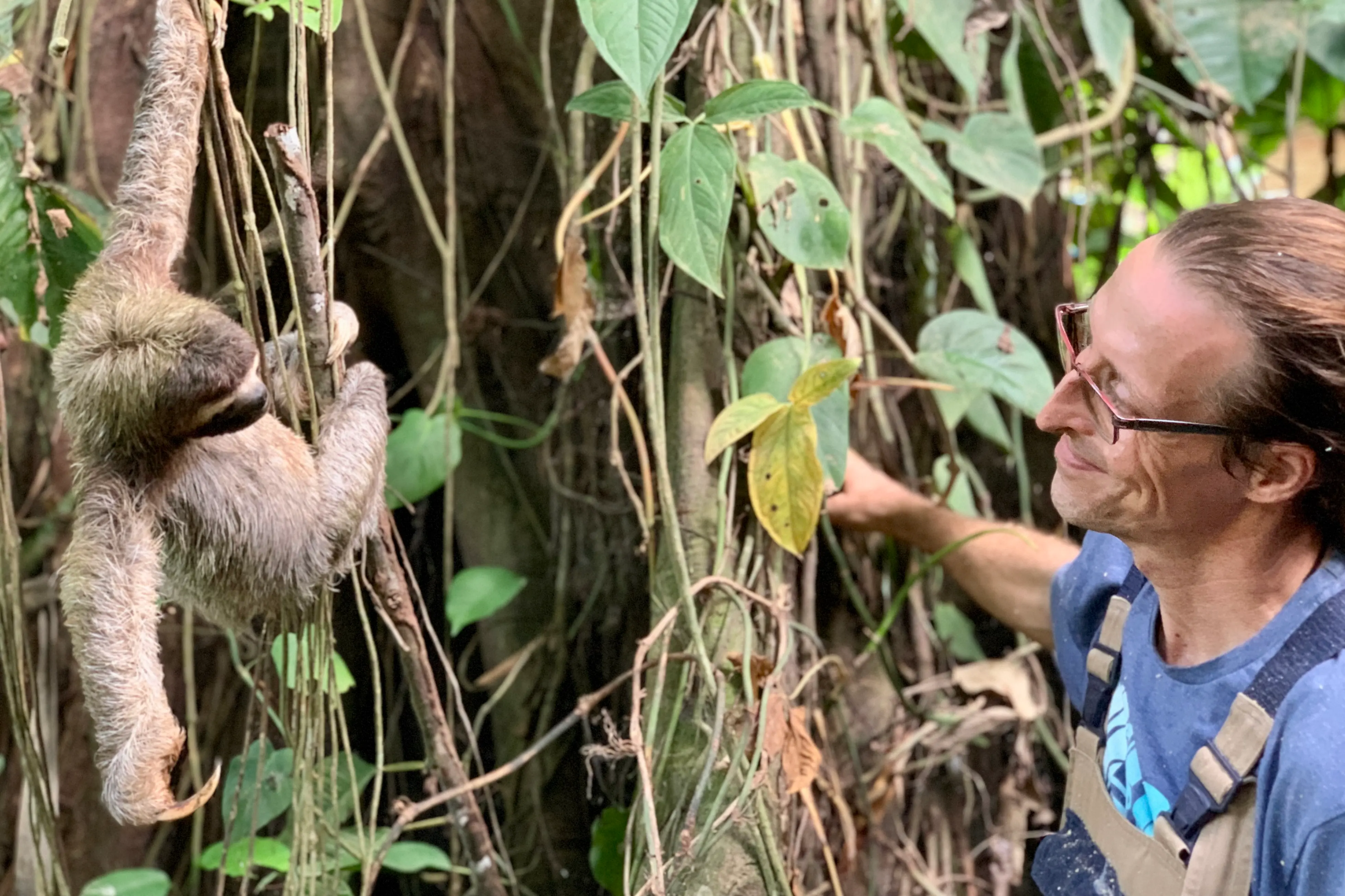 Gastgeber Alex mit einem wilden Faultier, Jungle House Bocas del Toro