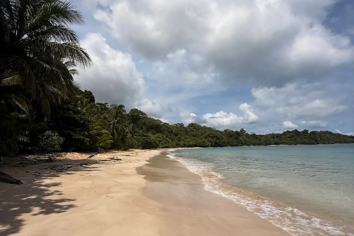 Ruhige Badebucht Playa Tito mit Dschungelkulisse, Isla Colón